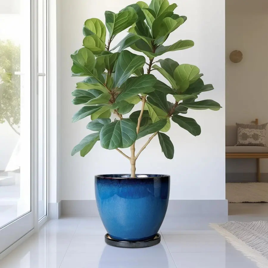 Ceramic Plant Pots With Drainage Holes And Saucer For Indoor
