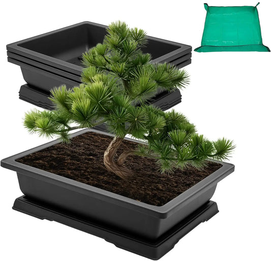 Bonsai Training Pot Set With Drainage Trays And Repotting Mat