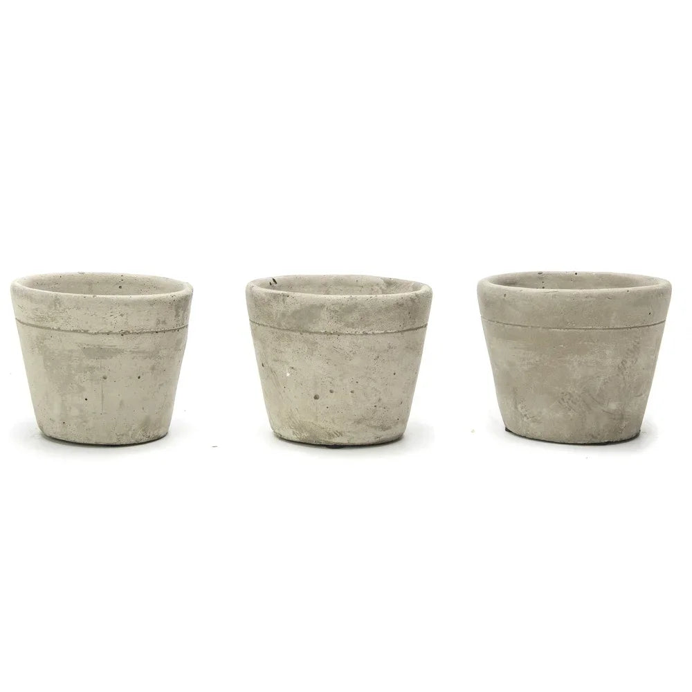 Three Small Concrete Succulent Planters With Wood Stand Drainage Holes