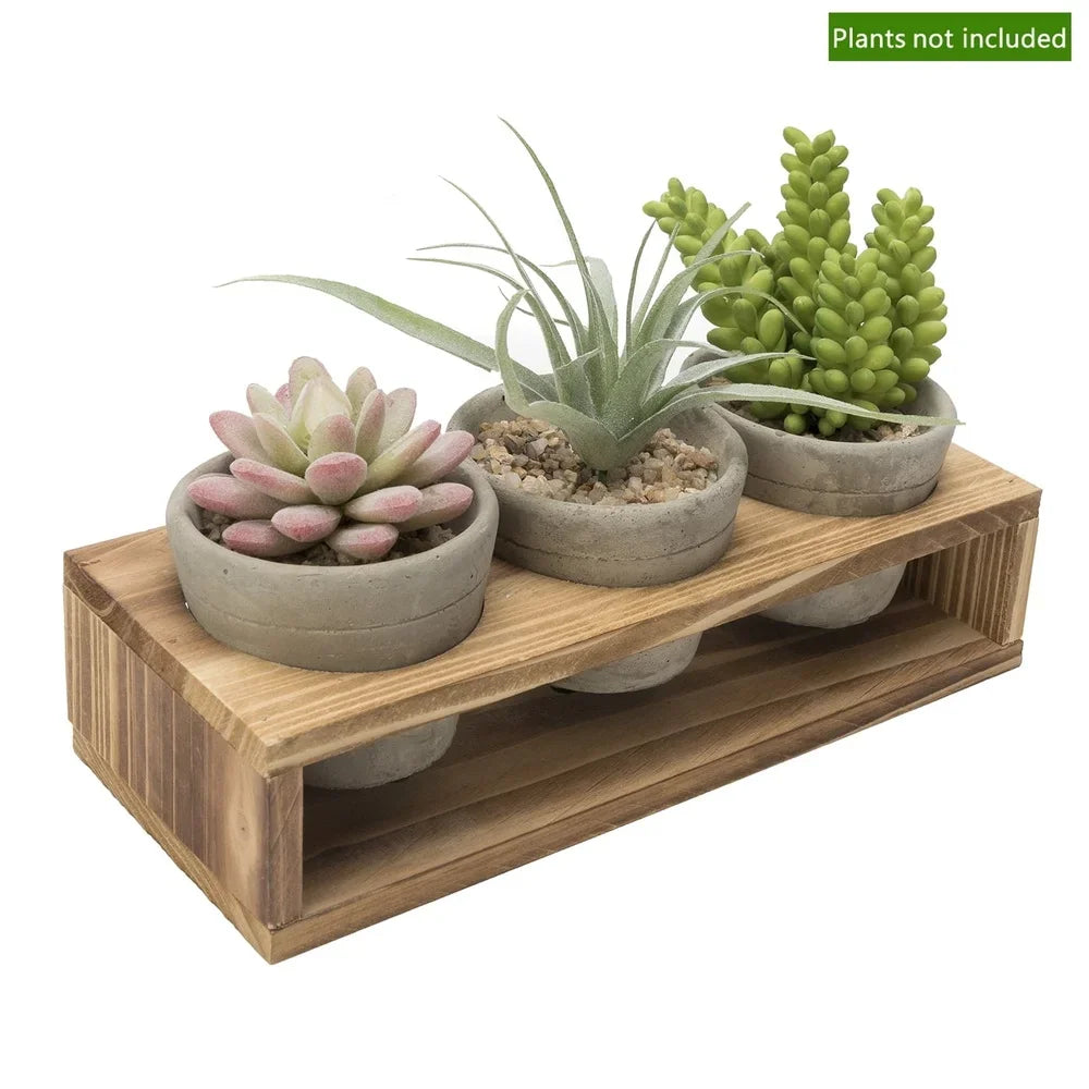 Three Small Concrete Succulent Planters With Wood Stand Drainage Holes