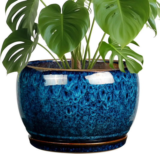 Ceramic Planter With Drainage Hole And Saucer For Indoor Outdoor