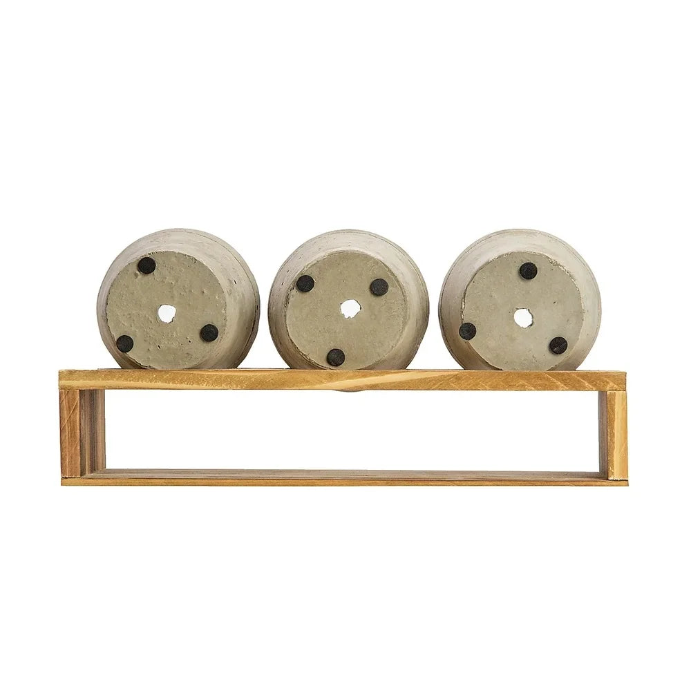 Three Small Concrete Succulent Planters With Wood Stand Drainage Holes