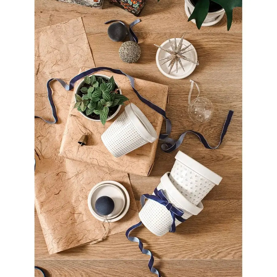 LE TAUCI Ceramic Plant Pots With Drainage Hole Saucer