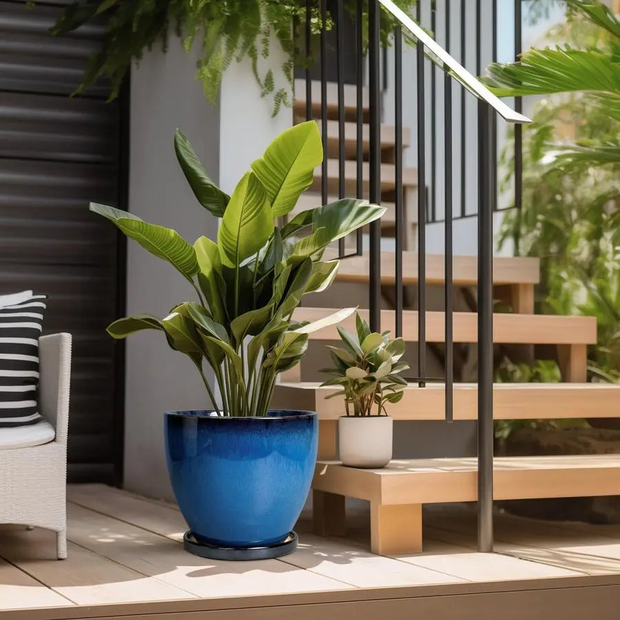 Ceramic Plant Pots With Drainage Holes And Saucer For Indoor
