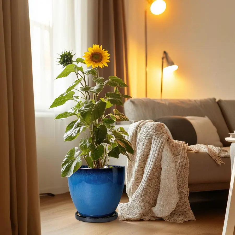 Ceramic Plant Pots With Drainage Holes And Saucer For Indoor