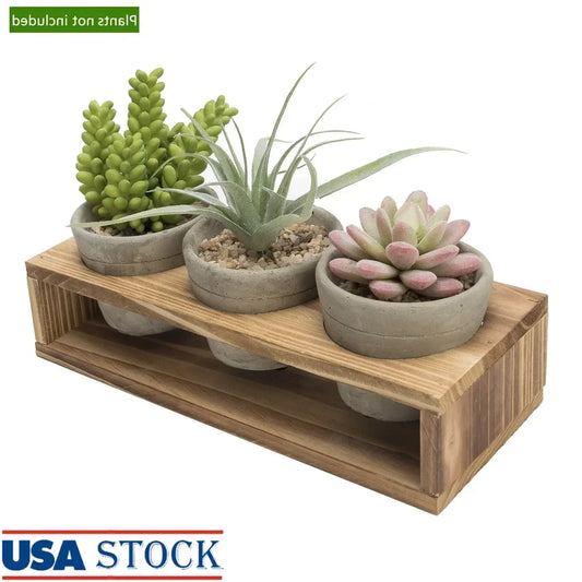 Three Small Concrete Succulent Planters With Wood Stand Drainage Holes