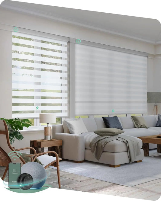 Motorized Zebra Blinds With Remote And Voice Control