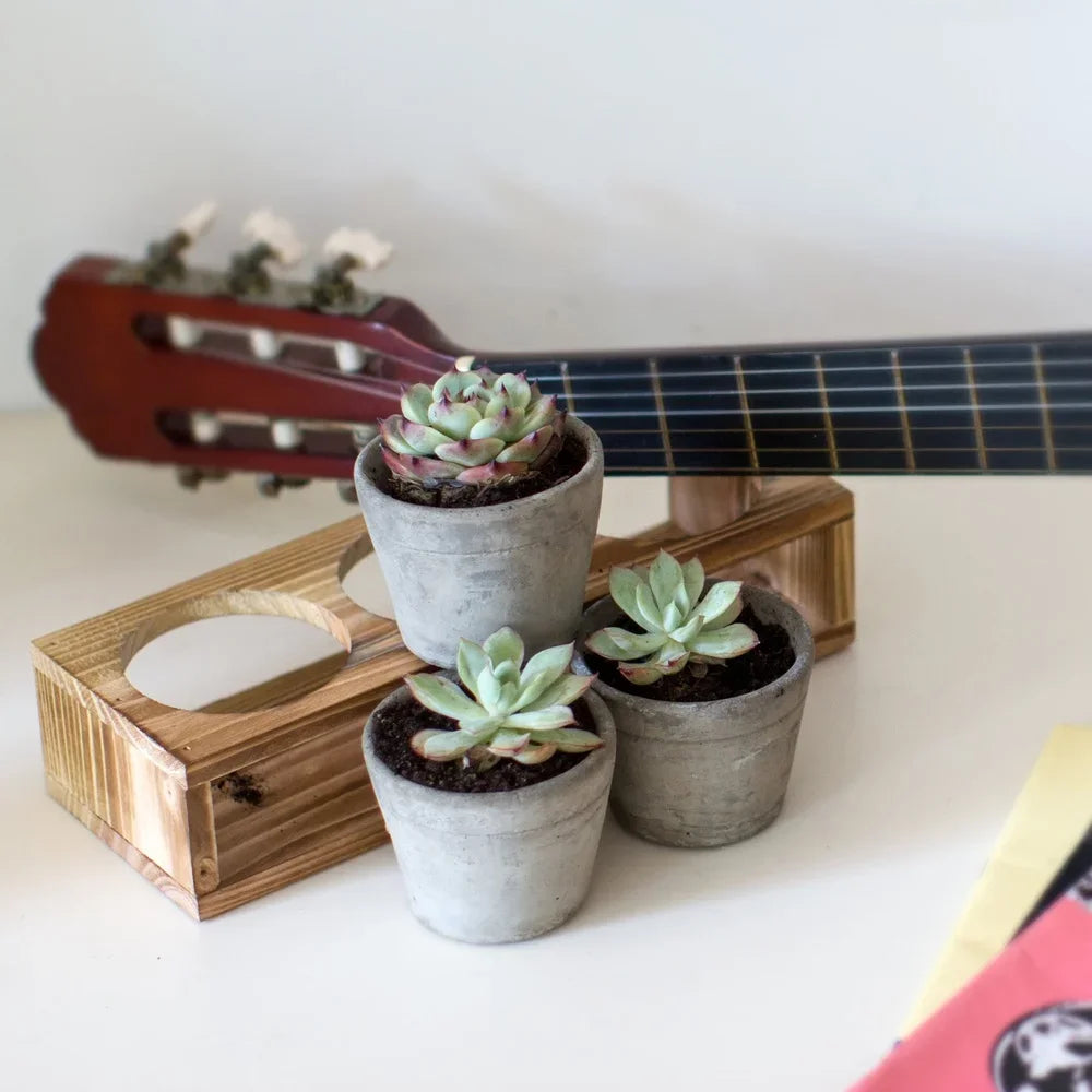 Three Small Concrete Succulent Planters With Wood Stand Drainage Holes