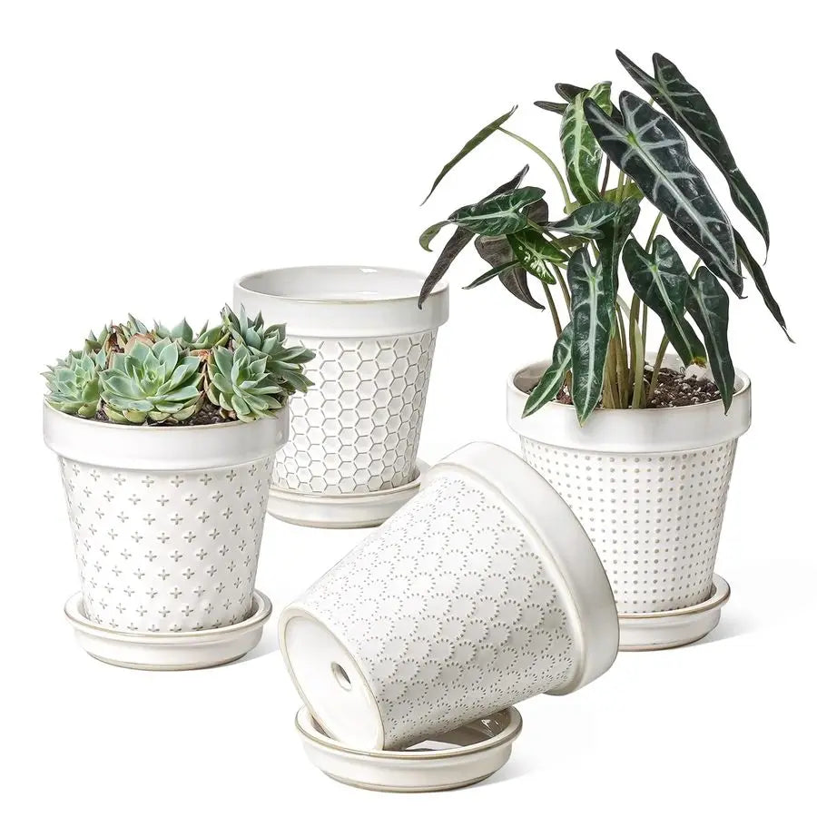 LE TAUCI Ceramic Plant Pots With Drainage Hole Saucer