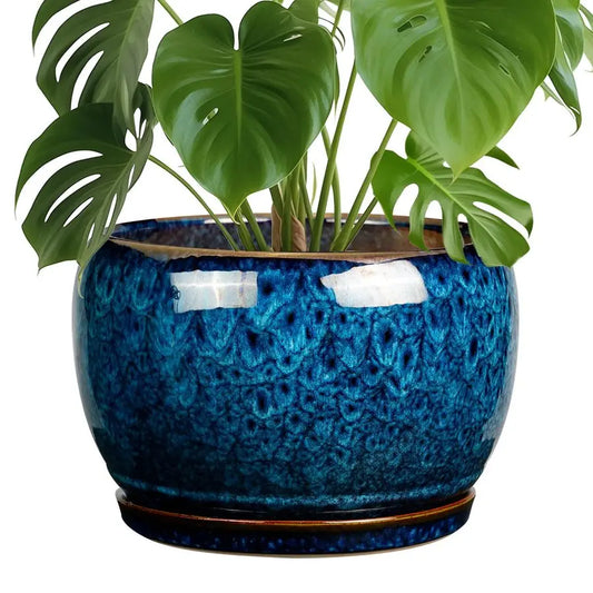 Ceramic Plant Pot With Drainage Hole And Saucer For Indoor