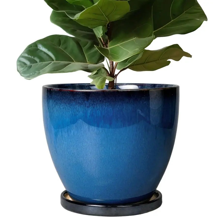 Ceramic Plant Pots With Drainage Holes And Saucer For Indoor